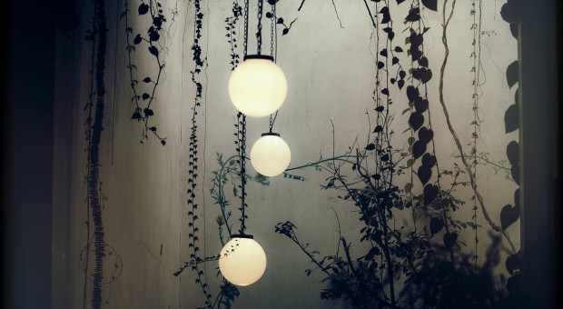 piante 