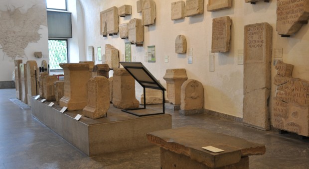 FOOD: Archeologia del cibo dalla preistoria all'antichità