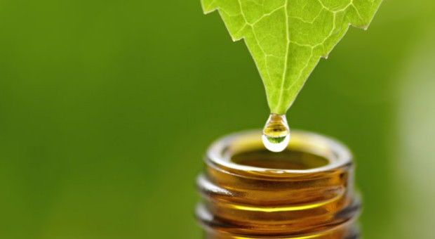 Martedì di naturopatia - Il Parnaso, libri e natura 