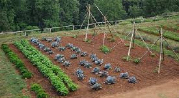 Corso di Agricoltura naturale