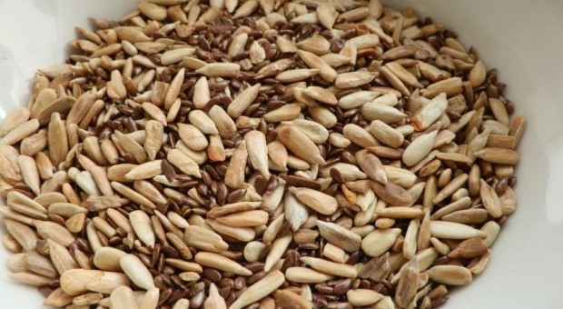 Piccoli semi pieni di di risorse