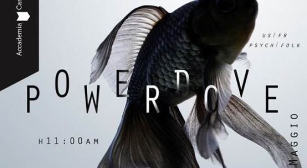 Sunday Morning | Powerdove