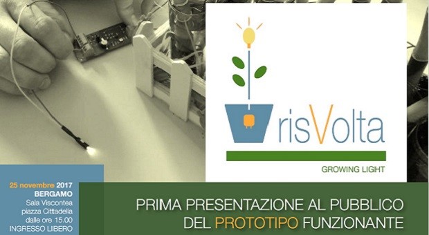risVolta 