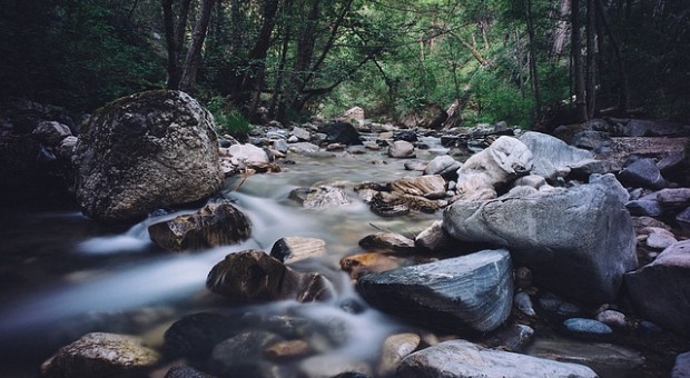 acqua