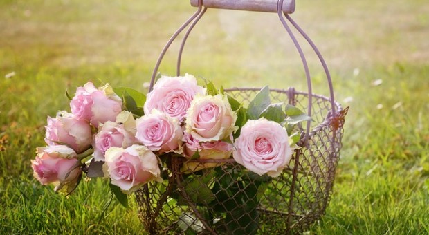 fiori