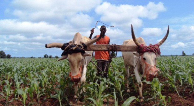 Mercatino per il Senegal