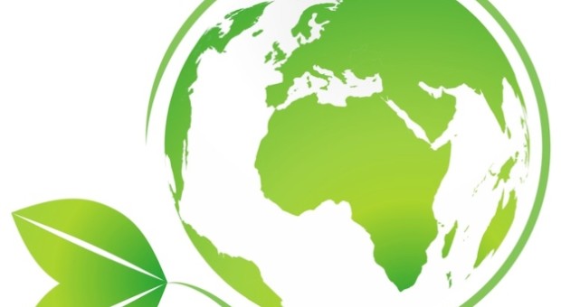 Fiera della sostenibilità 2015