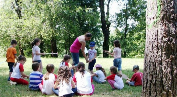 Summer Camp