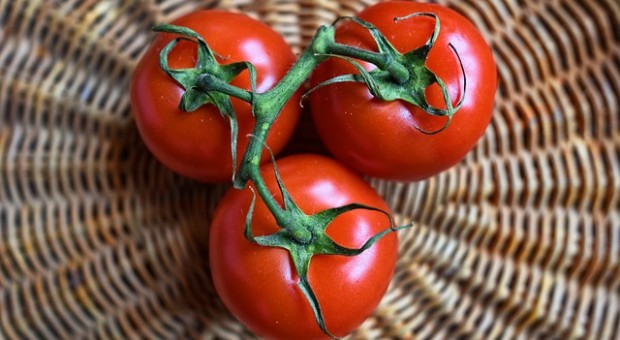 pomodoro
