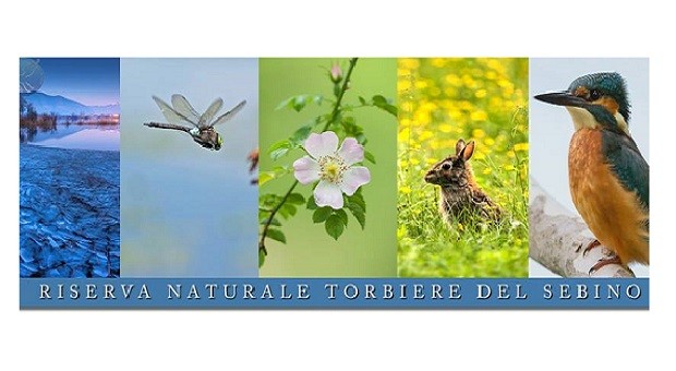 L’avifauna alle torbiere del Sebino