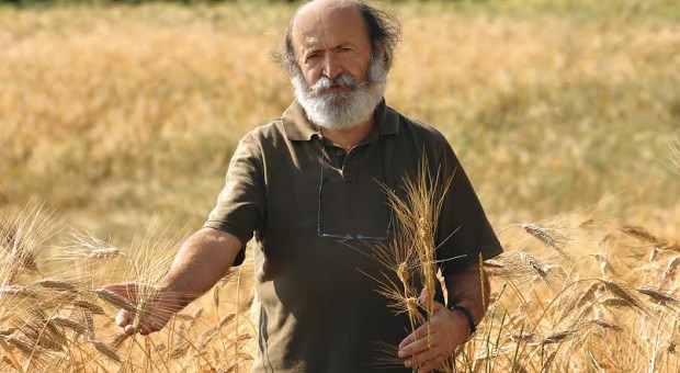 Il biologico e l'oltre: la tradizione come modernità e futuro