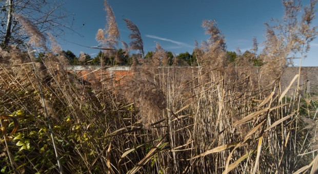 Quarenghicinquanta inaugura la stagione di eventi e iniziative con un workshop sulla fotografia