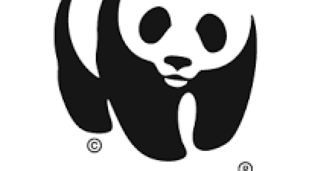WWF in Expo