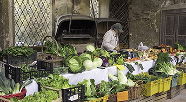 Mercati della Terra di Slow Food. Tradizioni, cibo e territorio