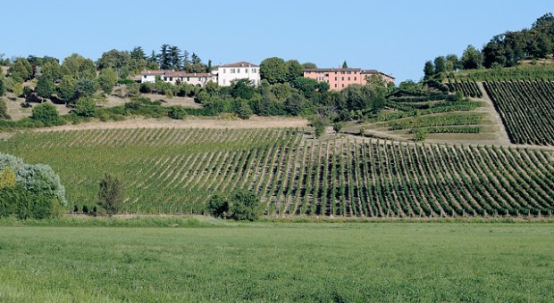 Parco delle colline: la bellezza della natura