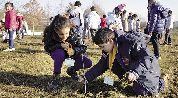 150 nuovi alberi per il parco dell’Ospedale Papa Giovanni XXIII