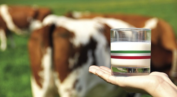 Mondo latte e non solo