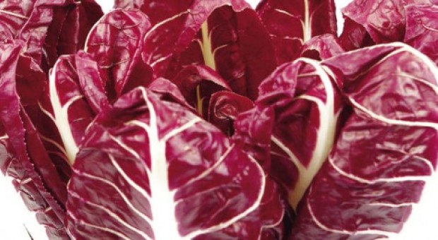 Il radicchio: la foglia del Nordest