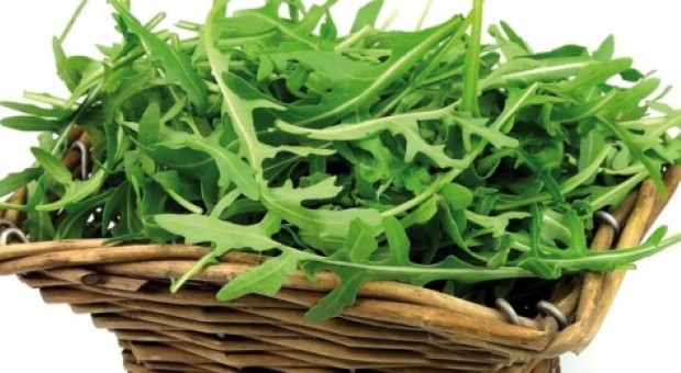 La rucola. Gusto speziato e profumo gradevole