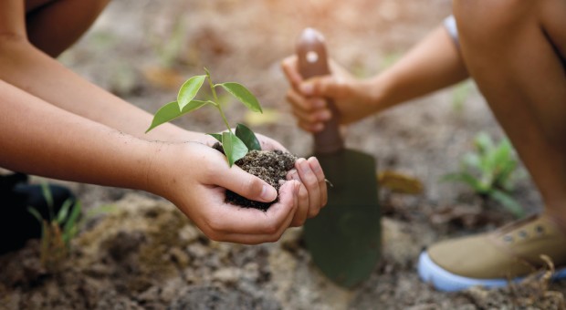 Distretti dell'Economia Sociale e Solidale