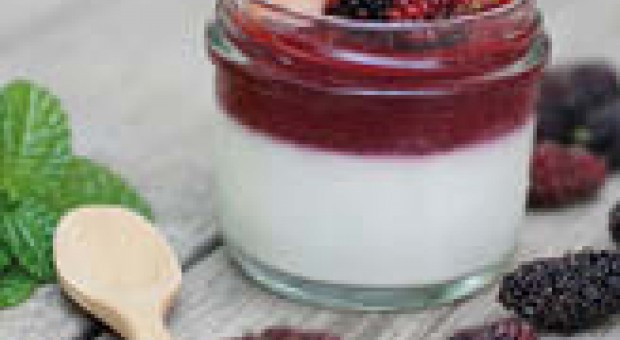 Panna cotta alle more di gelso