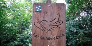 A scuola di natura. Conoscere il Parco delle Colline in classe e sul campo