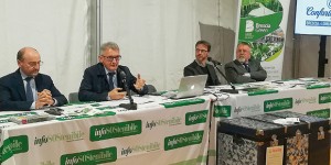 Per una Brescia sempre più smart
