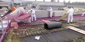 S.E. Servizi Ecologici Srl: Salvaguardia ambientale e lotta all’amianto