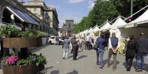 Festival dell'Ambiente