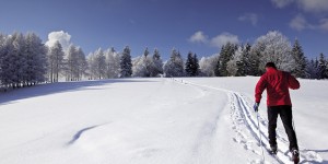 Sci di fondo
