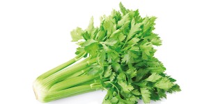 Sedano