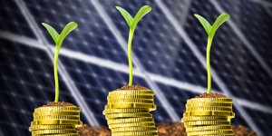 Sorella Terra punta alla valorizzazione del paesaggio per produrre benessere economico