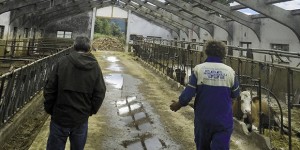 Mondo latte e non solo