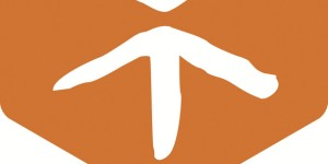 Logo Cesvi
