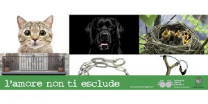 Il Comune di Bergamo in prima linea con una campagna di sensibilizzazione contro il maltrattamento