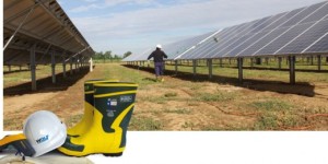 Ottimizzazione del fotovoltaico: pulizia=risparmio
