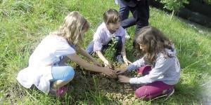 boschi in città