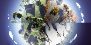Sorella Terra 2016