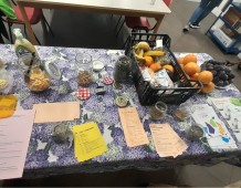 Officina di Merlino 01