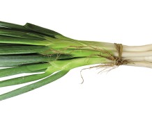 Il Cipollotto