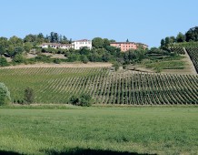 Parco delle colline: la bellezza della natura