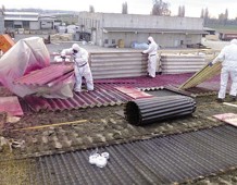 S.E. Servizi Ecologici Srl: Salvaguardia ambientale e lotta all’amianto
