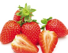 Fragola