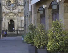 La Basilica di Santa Maria Maggiore è “Aperta per voi”