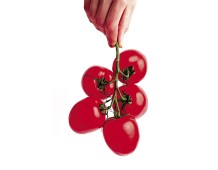 Pomodoro