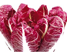 Radicchio