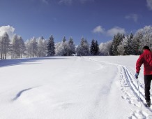 Sci di fondo