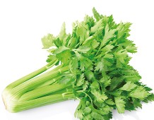 Sedano