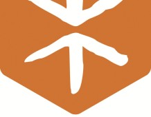 Logo Cesvi