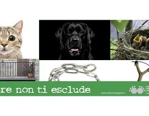 Il Comune di Bergamo in prima linea con una campagna di sensibilizzazione contro il maltrattamento
